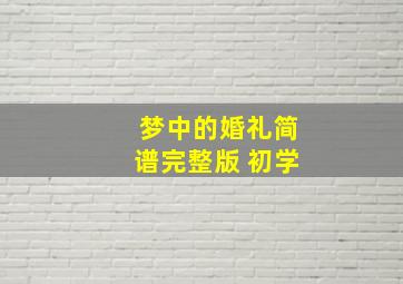 梦中的婚礼简谱完整版 初学